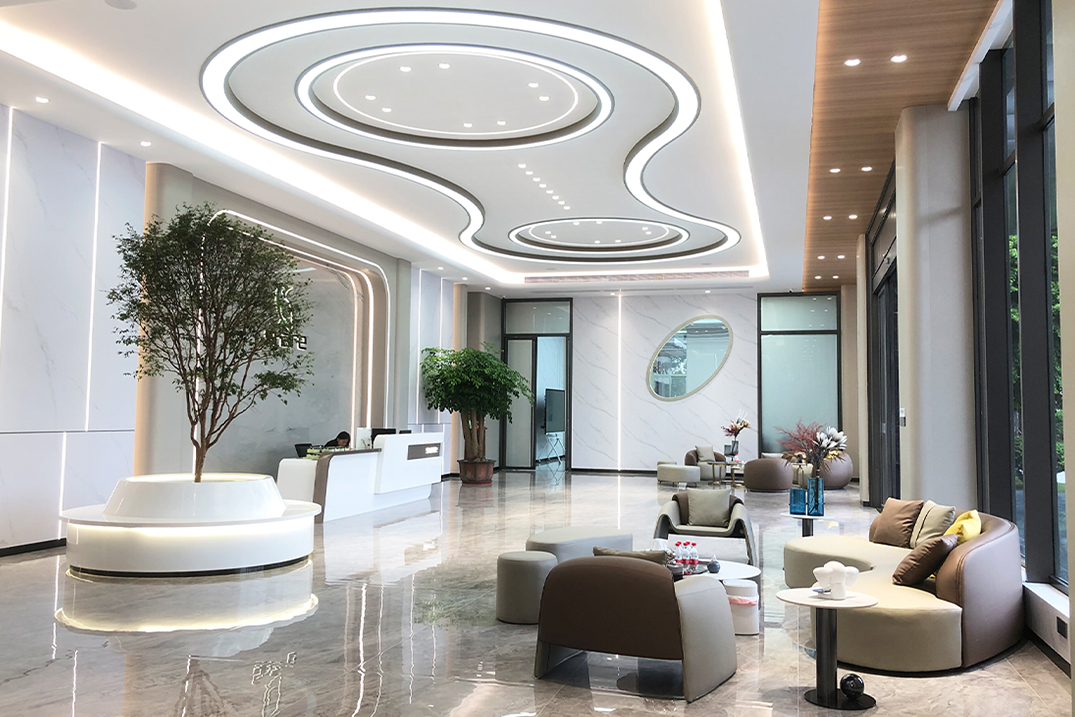 z6.com · Beauty Navigator	